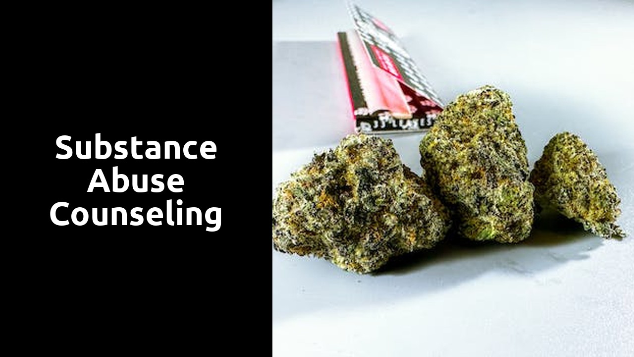 Substance Abuse Counseling