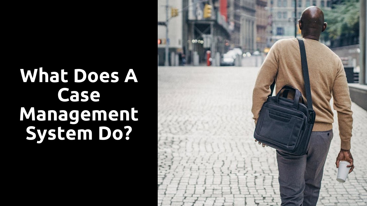 What does a case management system do?