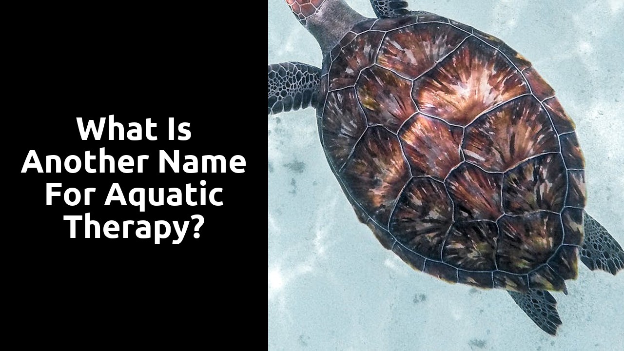 What is another name for aquatic therapy?